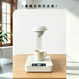 其他按摩器材;其他生活电器;射频仪（非医疗器械）
