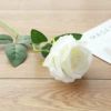 Bent velvet rose--white