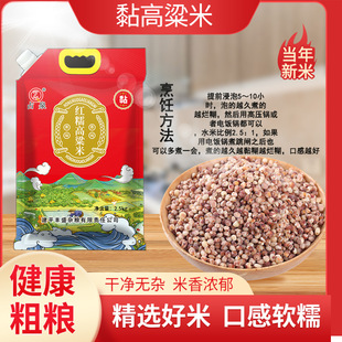 ռȪ�|���|�����2025�������tŴ������5�� ���b��������