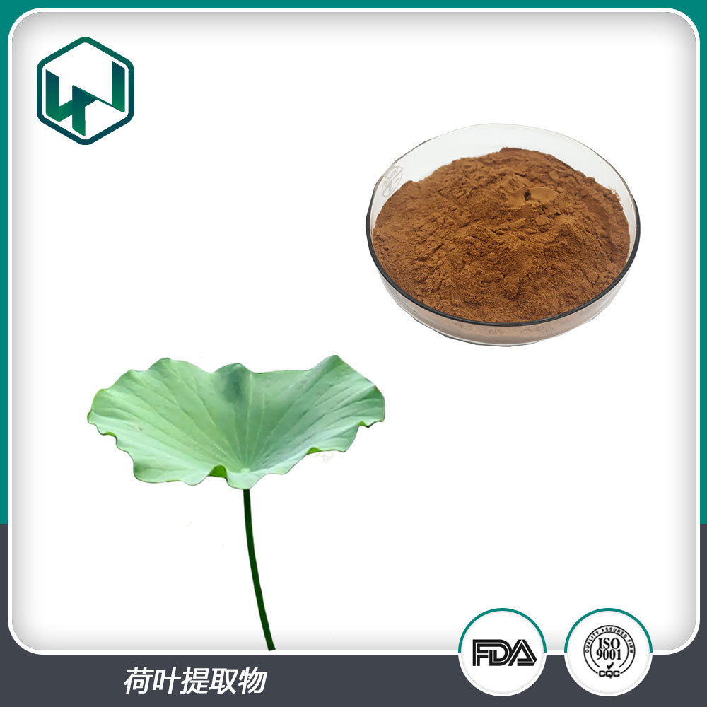 荷叶提取物_10:1(%)提取荷叶水溶粉原料_厂家现货量大从优！