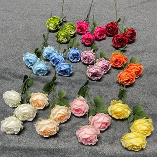 �������l3�^����õ�� �����b�����õ���c���滨���҃Ȕ[��