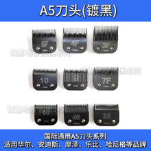 �m���A��KM10������Ƽ����^Ħ��KM5����630�h���A5F10̖���^30