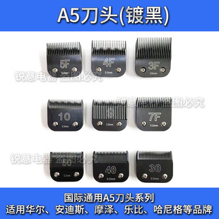 Suitable for Wahl Km10 Pet Electric Clipper Head Moze Km5 Lebi 630 Hanniger A5F10 Blade 30