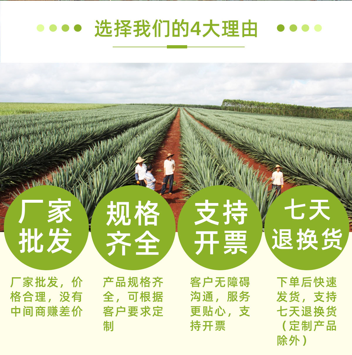 剑麻布新模板_02