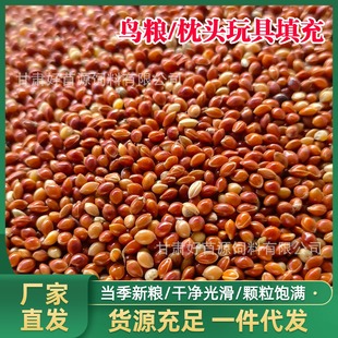 �¼t�������^�����׃���о������|���������ɢ�b�B�Zʳ�t����