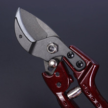 �@ˇ������������֦��@�ִ�֦����֦�޽Ӽ�@�ֹ��߻�ˇ��֦��