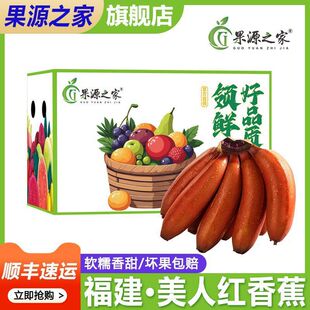 �����������˼t�㽶�㮔���𽶻������t�����㽶3/4.5��