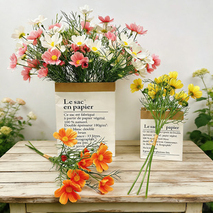 С�r�շ��滨����˹�տ͏d�ٻ�ins�L�����b[�O�҃��������[��