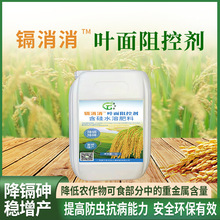 康万家镉消消叶面阻控剂硅肥纳米硅 富硒 降镉 降砷 重金属 500ml
