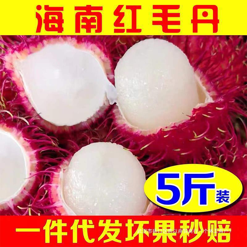In stock Hainan rambutan per jin with box freshly picked fresh fruit free shipping mangosteen pregnant women seasonal fruit sweet