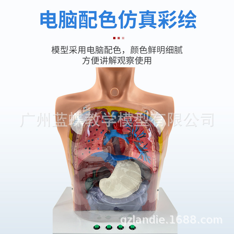 ����ϴθģ�� ����ʾ͸��ϴθ����ģ�� θ����ѹѵ����ѧģ��ҽ��