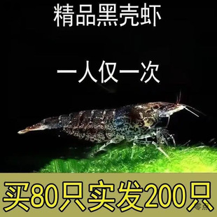 ��̖�ښ��r����ښ��r�ݸ��坍�r���~��ϳ����r�^�p�r�����r���r