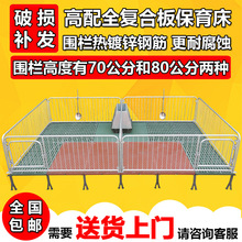 床围栏小猪栏猪定位栏带保育仔猪漏粪板复合保育母猪产床床垒德株