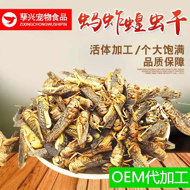 批发供应优质冻干蚂蚱蝗虫 保鲜优质动物饲料1kg昆虫高能