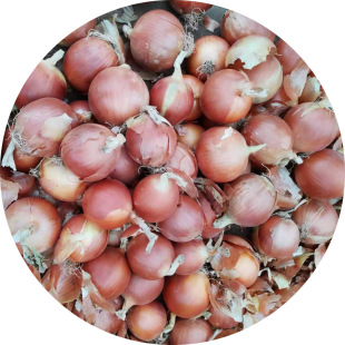 ���C�S���[8�������ϴ�ߴ�W���b�����n���ձ����[