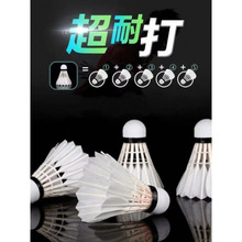 ��ë��ٷ���Ş��12/6ֻ�b�ʹ����Zë��Ӗ�����I��ِ��Ʒ����