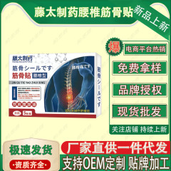 Fengtai Pharmaceutical 腰椎筋骨パッチ 5 パッチ/箱工場直接供給在庫あり卸売ドロップシッピング