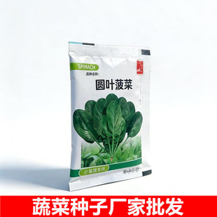 ���ߴ�9-12cm���m���A�~�����ѷN��˷N�ӏS��ֱ�N�߲˷N��