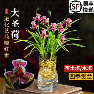 ��߅�m���m���}�ɿ�ˮ���m���҃��̨���ܝ�����B�׻�Gֲ����