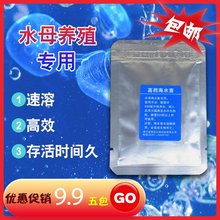 水母盐海盐活物活体海水素海洋小宠物海月赤月饲养新手饲料用品养