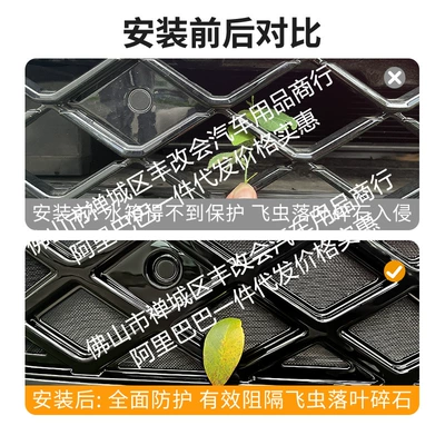 Automobile anti-insect net – Accessories