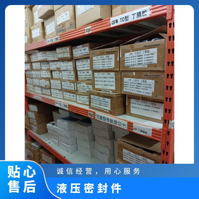 NI300 60X80X12 CFW 液压密封件 德国原装进口品牌