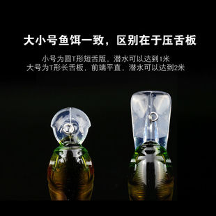 ·���D�u�LС����8��11�˶����L��������鸡ˮ���Z�N���|�~ͨ