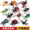 12 insects