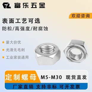 18-8 AISI304 AISI316 A2-80 A4-80 ���Ǻ�����ĸ DIN929