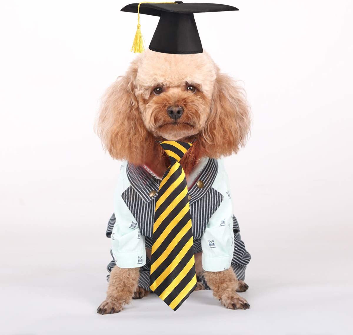 611Rv7UIOmL._AC_SL1200_