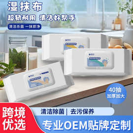 跨境家用除菌湿巾马桶地板清洁餐桌厨具消毒一次性懒人湿抹布批发