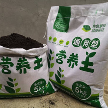 ͨ���͠I�B���N���B�����϶���G�}�����Nֲ���߲������ЙC��