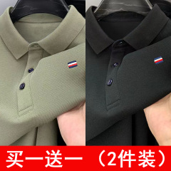 2025春秋新款高档短袖T恤男士中年休闲翻领商务纯色大码POLO衫潮
