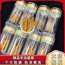 ���������ߺ��ζ��x�Ĳ��x��ƿ�b���aƷ���lֱ���\�д���һ�����l