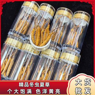 ���������ߺ��ζ��x�Ĳ��x��ƿ�b���aƷ���lֱ���\�д���һ�����l