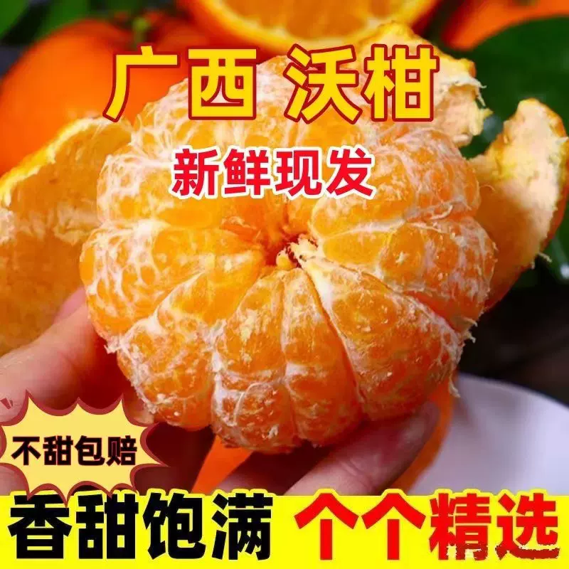 沃柑当季新鲜水果有机正宗精选沃柑桔现摘出口中亚土库曼斯坦商用