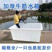 �Ӻ�ţ������ˮ���L����ˮ�a�Bֳ��ˮͰ�B�~�\��PE�ķ�һ�w����