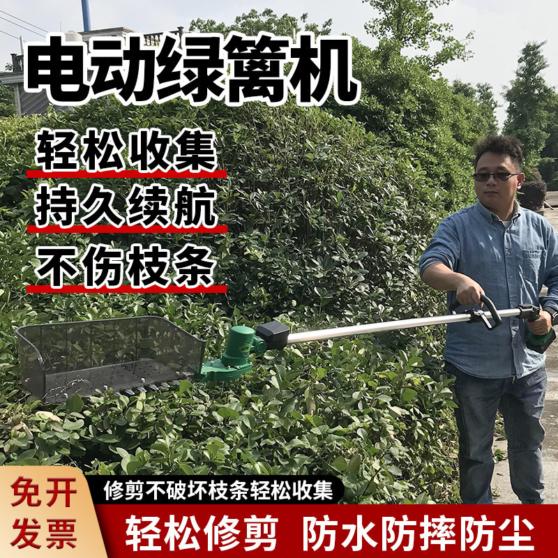 Horticultura alargada máquina eléctrica de setos recargable setos cortadores de té verde DC poda de ramas altas árboles de osmanthus jardín