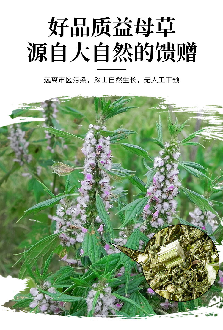 Dried Motherwort Herb Yi Mu Cao 500g Wild Harvested Whole Herb for Foot Soak Tea and Decoction overview