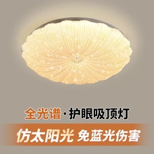 2025���¿�͏d��ؐ����픟�led���ҟ����s�F����ͯ���g�͏d����