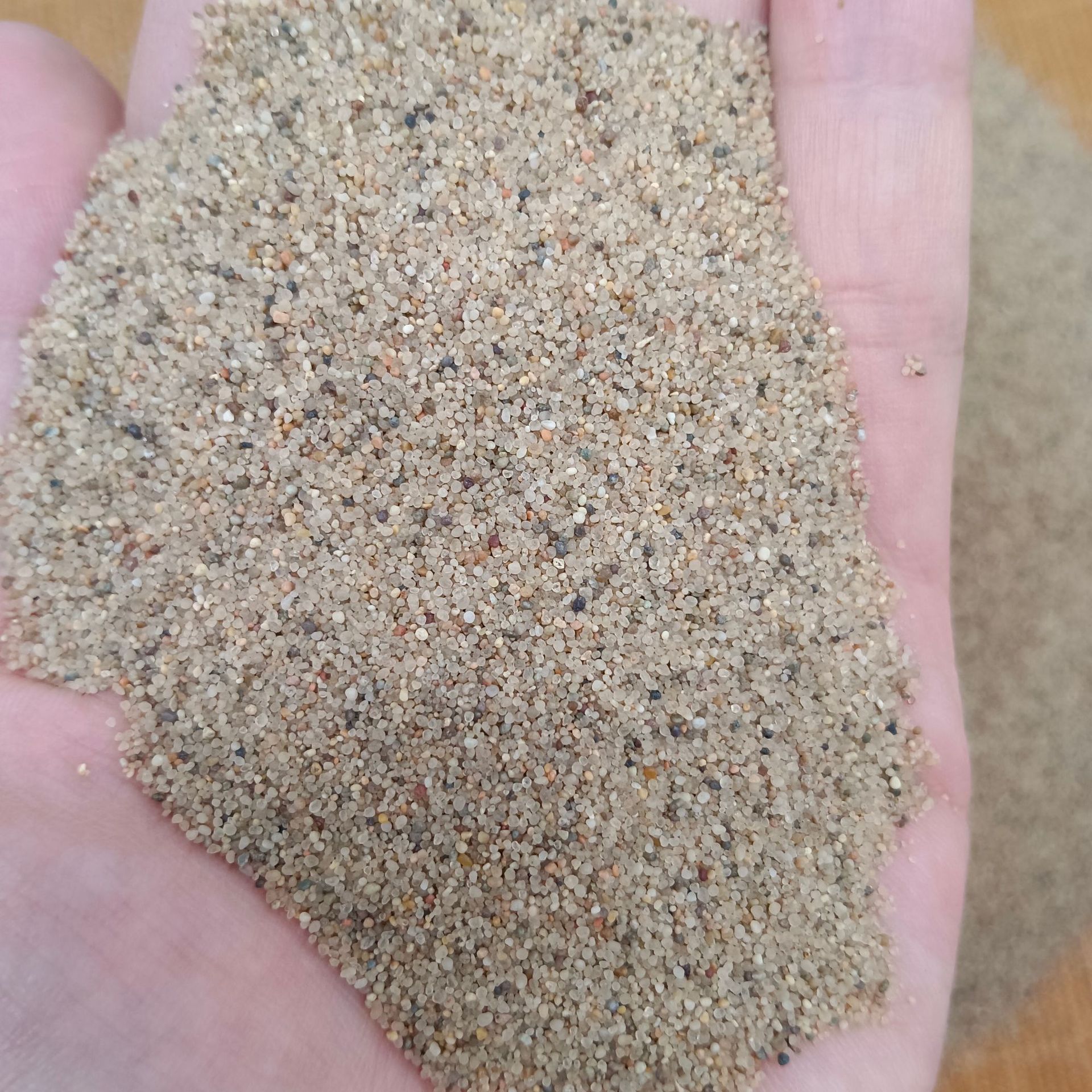 海沙 圆粒砂 儿童娱乐圆粒沙子 娱乐场水族造景海砂 多肉铺面沙子