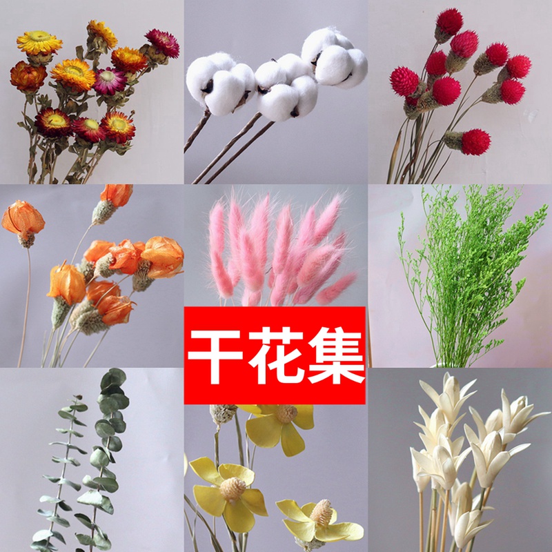 多品种云南干花真花自由搭配棉花满天星家居饰品花束客厅花瓶摆设