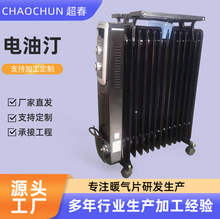 电油汀取暖器家用节能电暖气片室内暖风机嗳气电热油酊电暖气