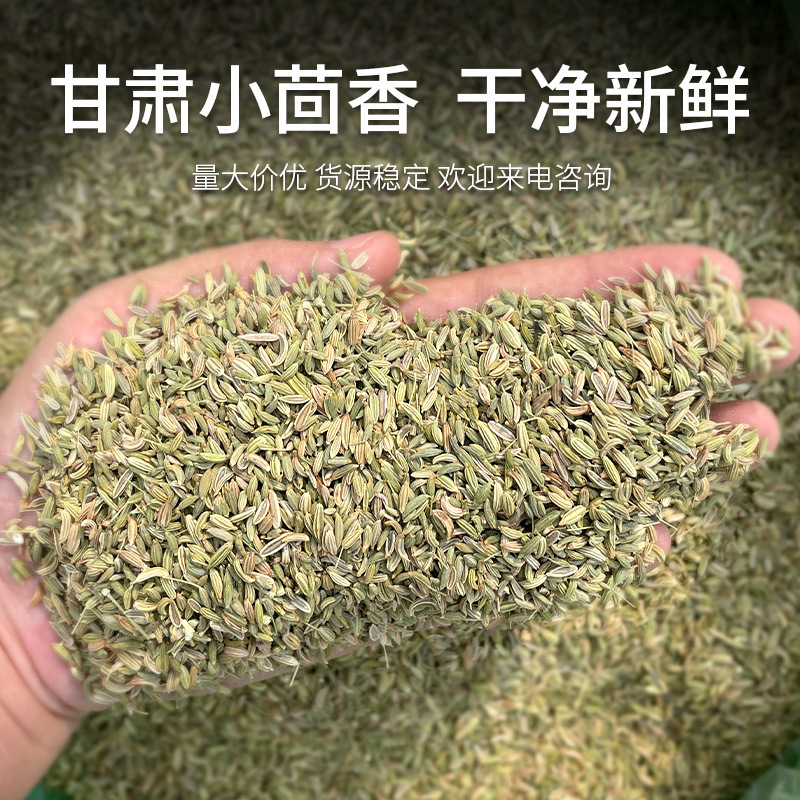 Premium Selected Fennel in Bulk 500g, Fennel Seasoning, Hot Pot Base, Wholesale Hot Pot Ingredients, Spices, Anise, Five-Spice Seasoning Premium Selected Fennel in Bulk 500g, Fennel Seasoning, Hot Pot Base, Wholesale Hot Pot Ingredients, Spices, Anise, Five-Spice Seasoning