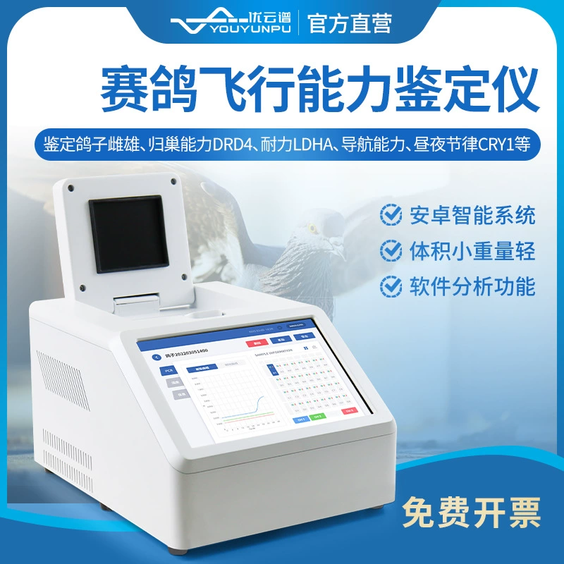 Голубь Летающая способность идентификации инструмент голубь попугай птица Летающая способность ДНК Пол мужской и женский Обнаружение идентификации инструмент