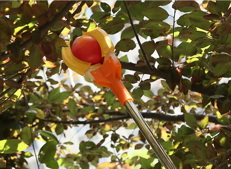 TB2IxocnBfH8KJjy1XbXXbLdXXa_!!