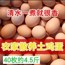 正宗农村新鲜柴鸡蛋30枚/40枚孕妇盐焗鸡蛋红皮土鸡蛋批发一整箱