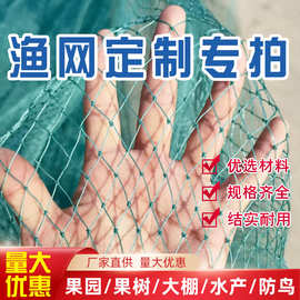 定制渔网拖网拉网清塘网抬网养殖网箱养鱼箱隔离渔网网片尼龙网箱