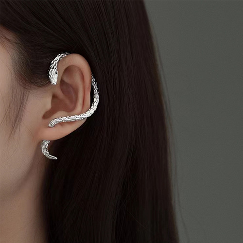 Unique and Creative Snake-Shaped Earrings with Exaggerated Design, Trendy and Sophisticated, Dark Glam Rock Star Earrings