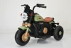 Green dual -driven